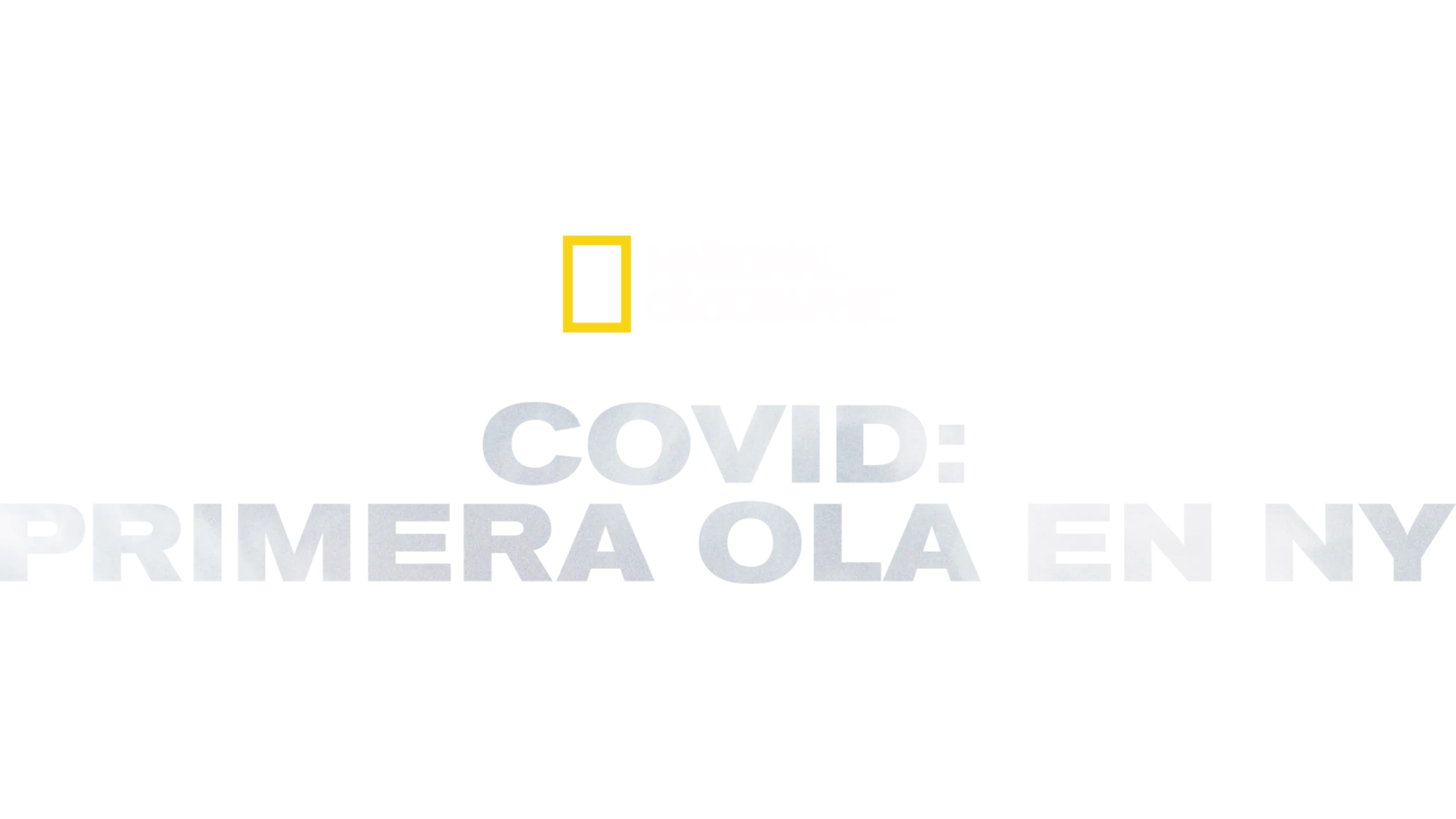 Covid: Primera ola en NY