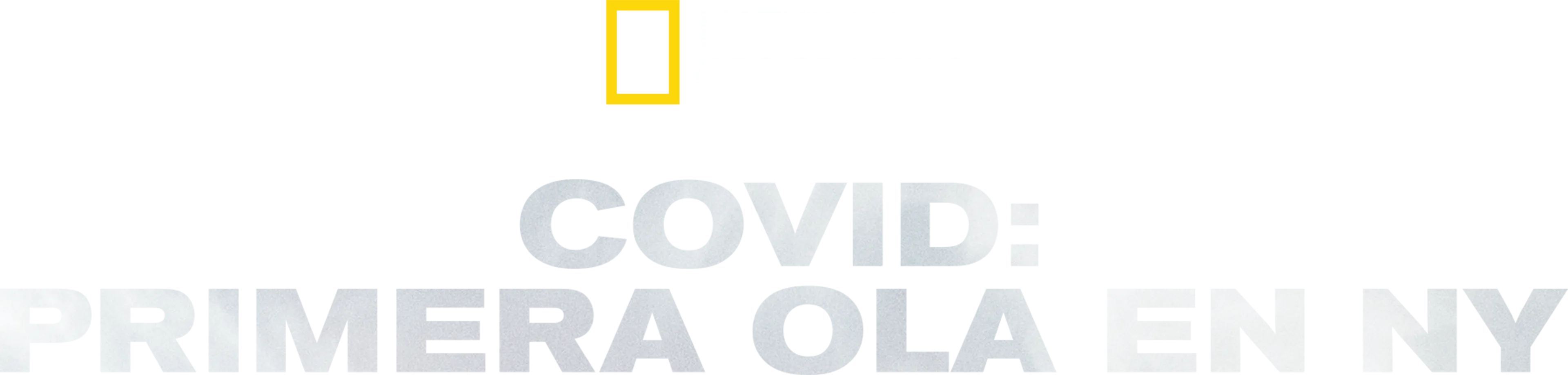 Covid: Primera ola en NY