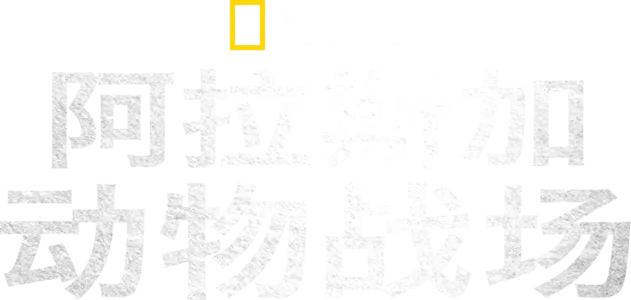 阿拉斯加动物战场