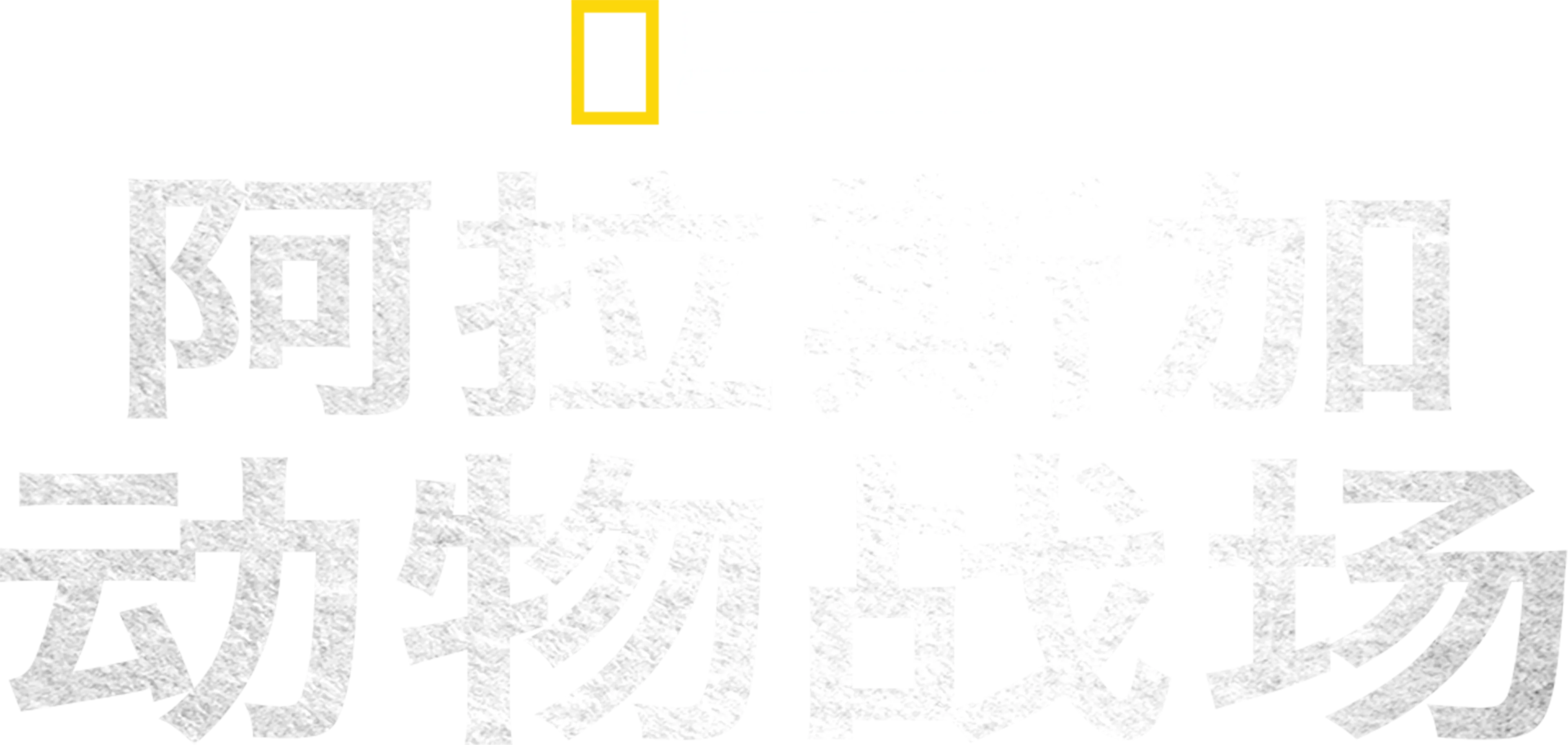 阿拉斯加动物战场