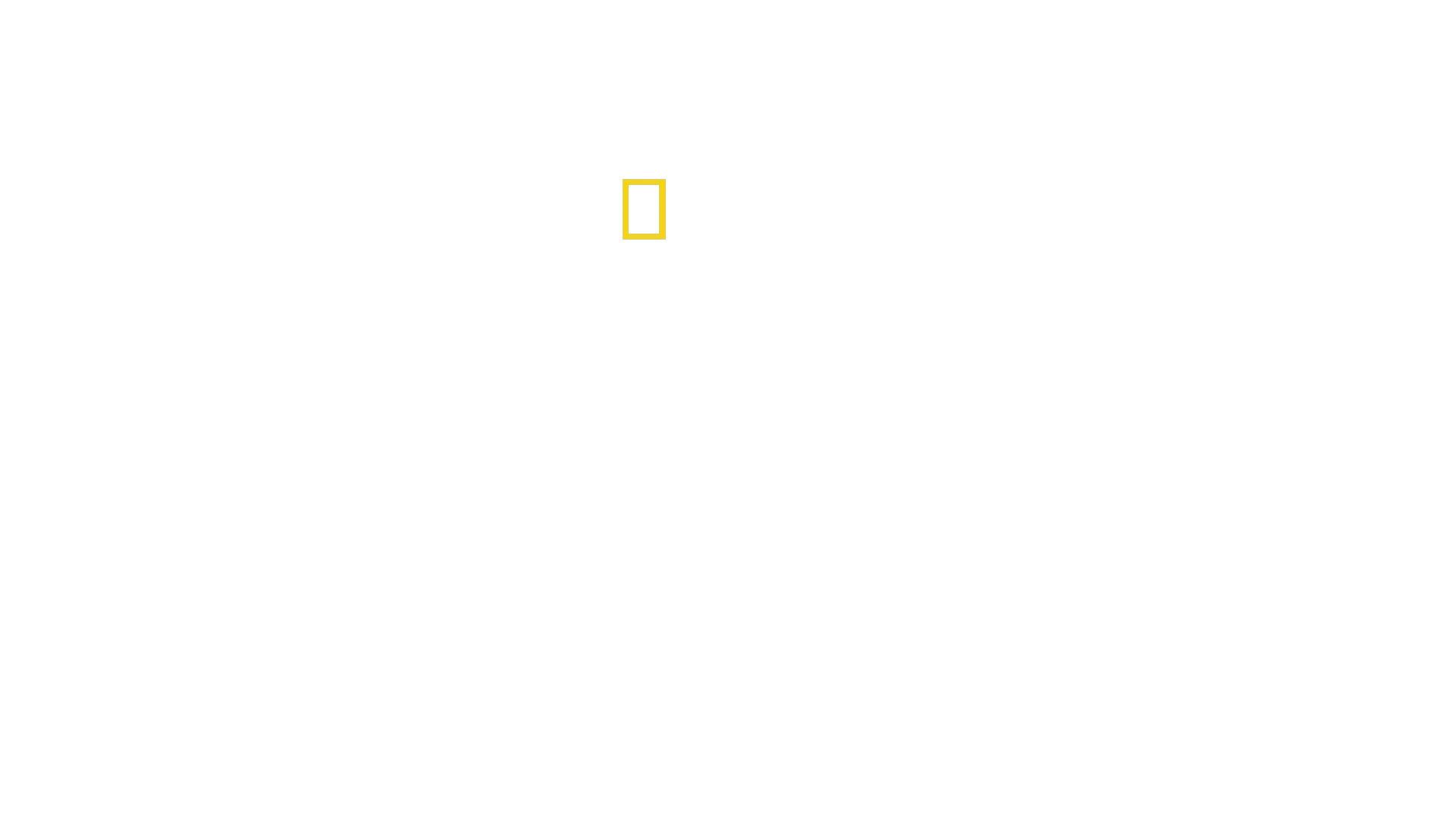 Miraklet på Hudsonfloden