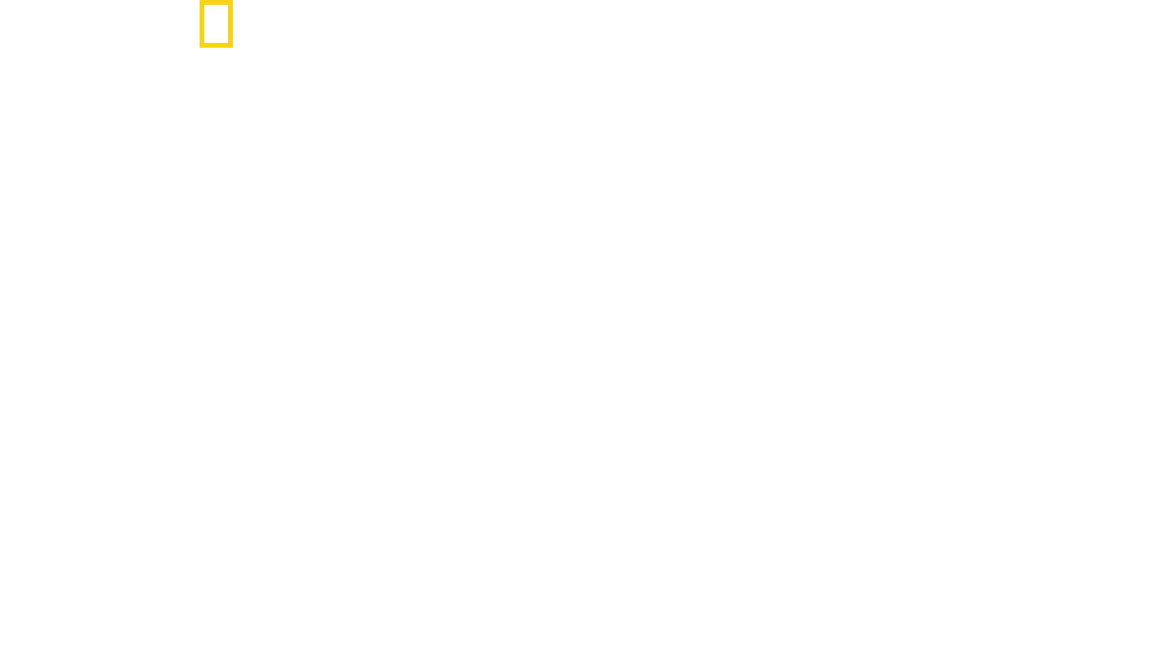 狗狗體型之謎