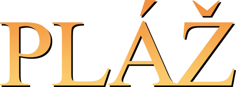 Pláž