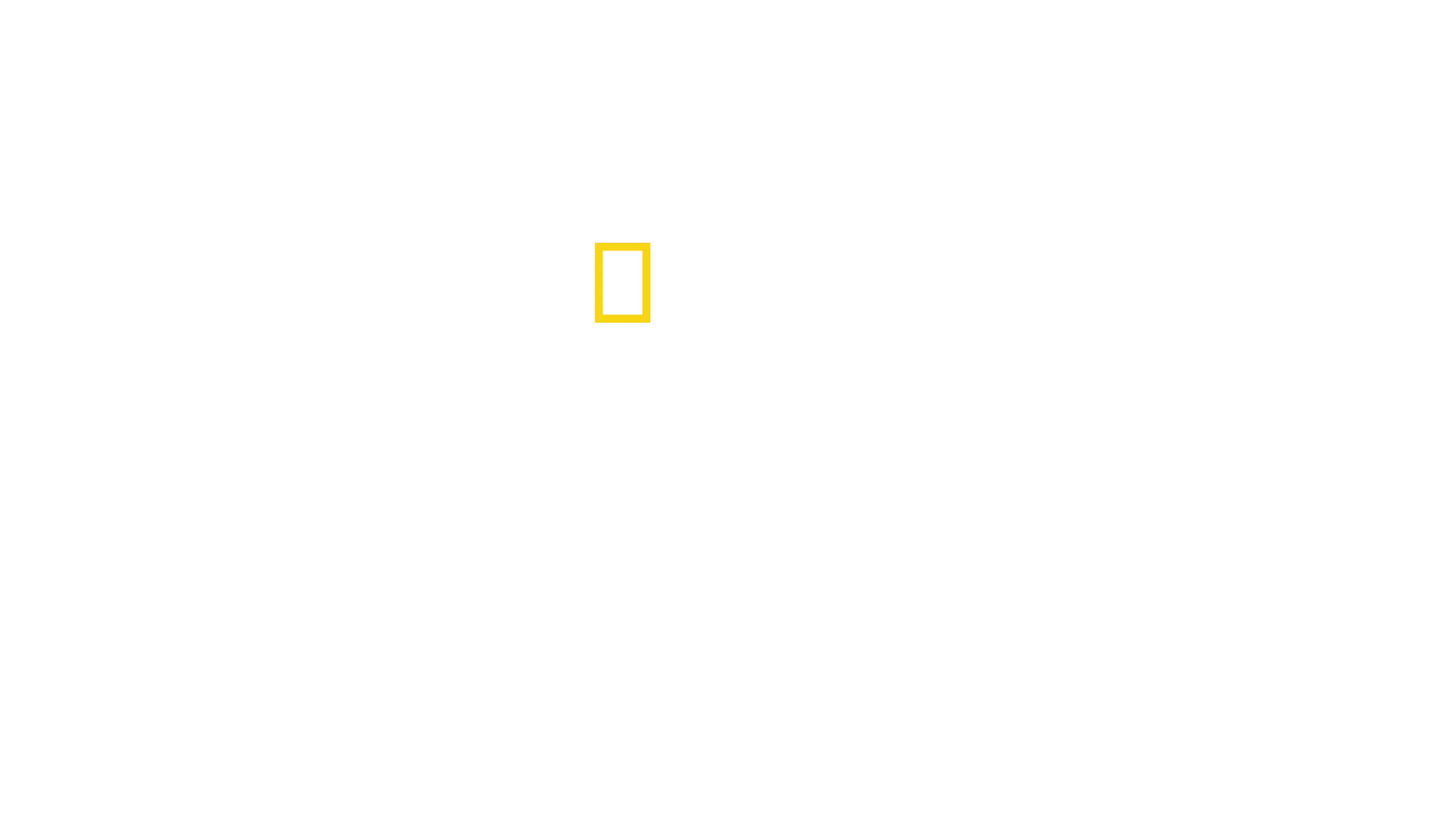 Μεγάλοι Καρχαρίες: Η Αναμέτρηση