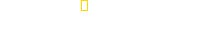 Μεγάλοι Καρχαρίες: Η Αναμέτρηση