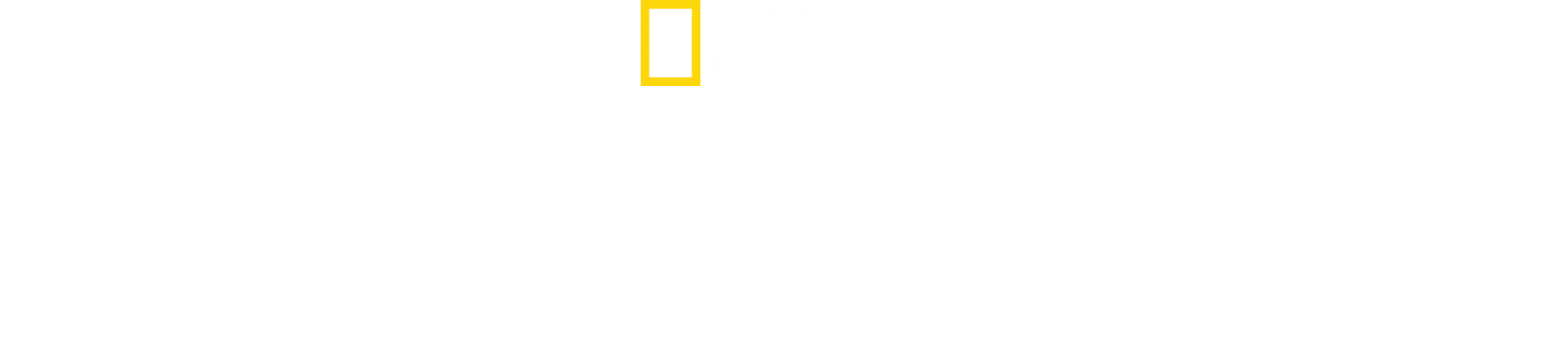 Μεγάλοι Καρχαρίες: Η Αναμέτρηση