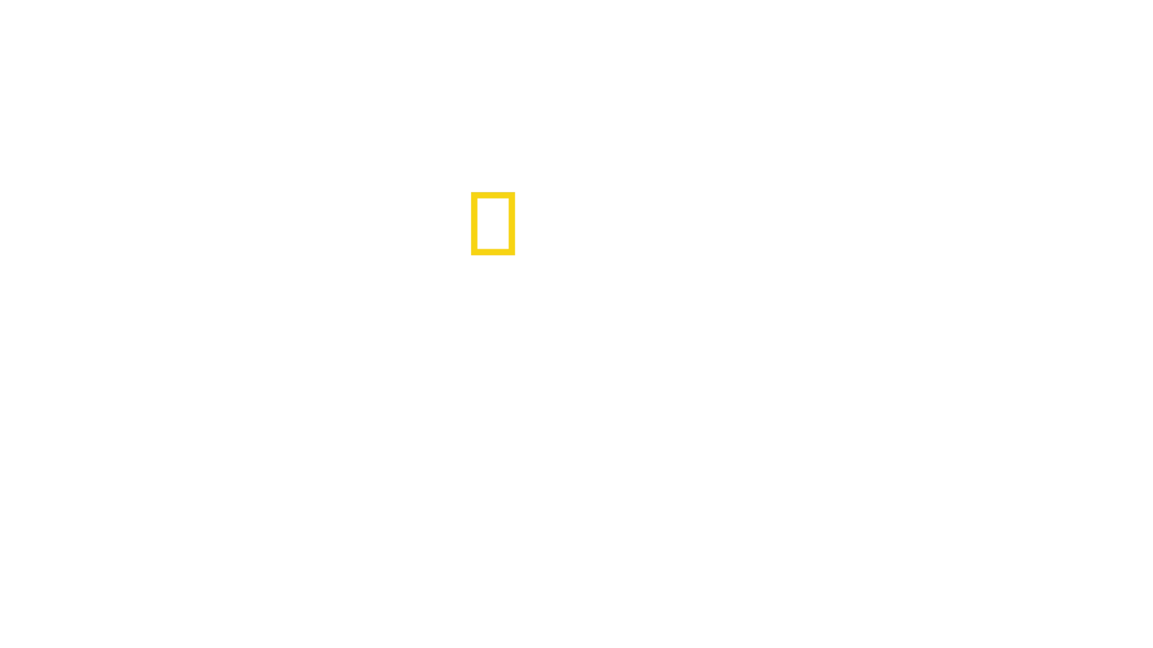 Μεγάλοι Καρχαρίες: Η Αναμέτρηση