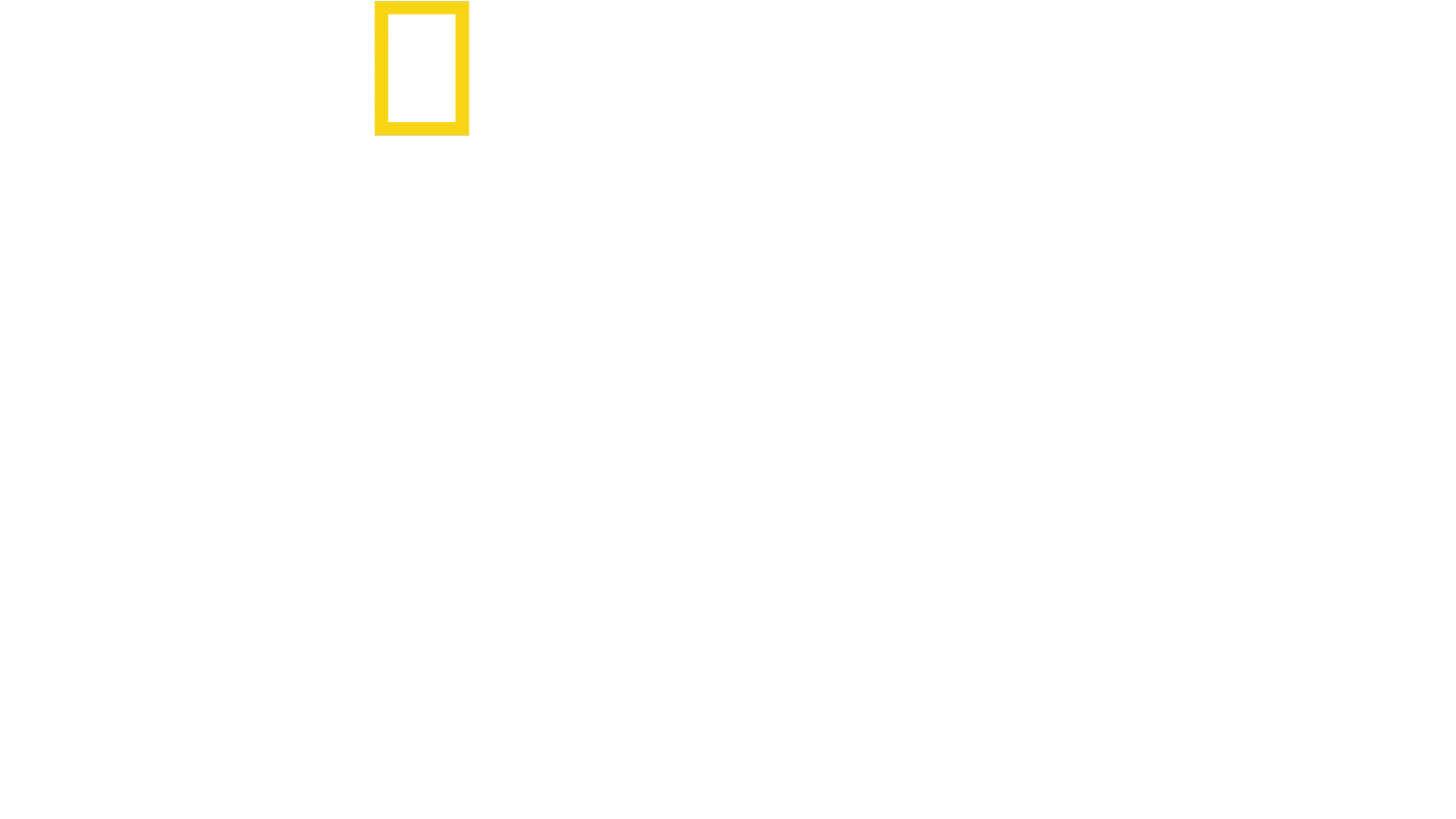 Chuť domova s Antonim Porowskim