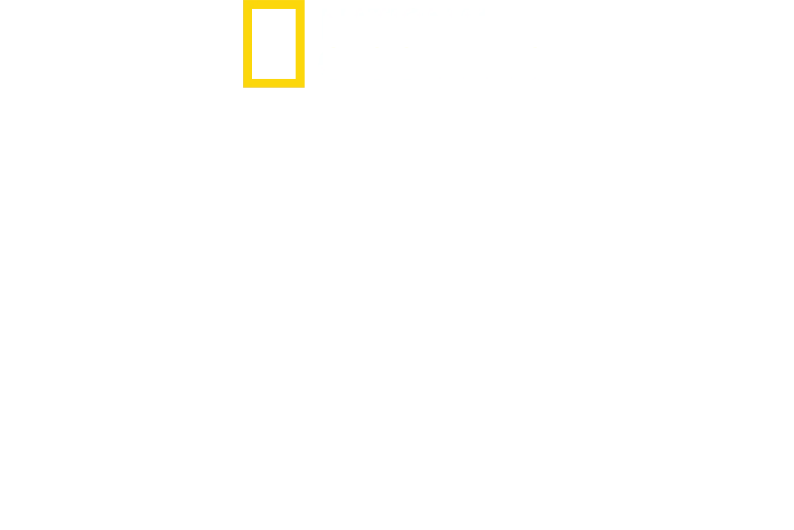 Chuť domova s Antonim Porowskim