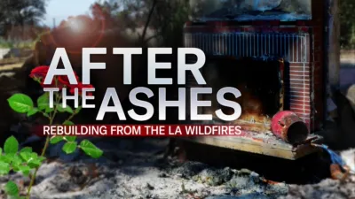 After the Ashes: Rebuilding from the LA Wildfires