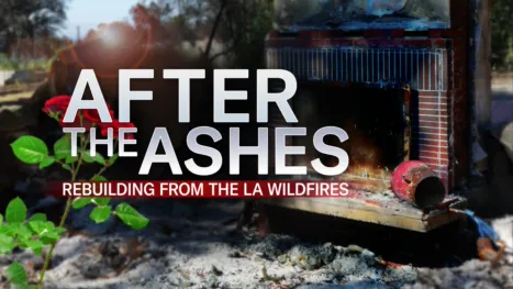 thumbnail - After the Ashes: Rebuilding from the LA Wildfires