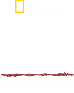 原始求生記：逃出亞馬遜