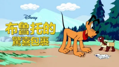 布魯托的驚喜包裹