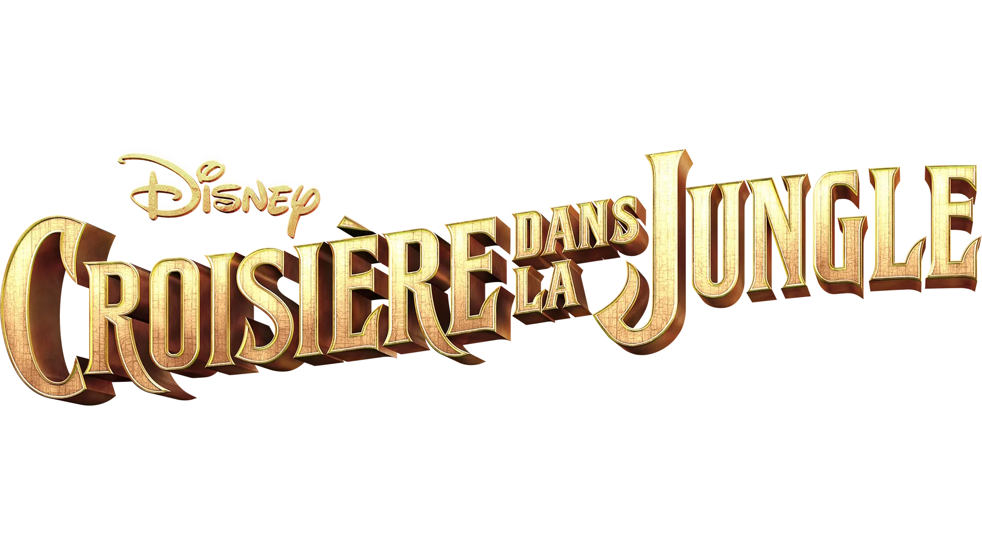 Croisière dans la jungle