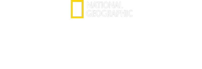 Albert Lin ja kadonneet kaupungit