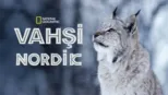 thumbnail - Vahşi Nordik