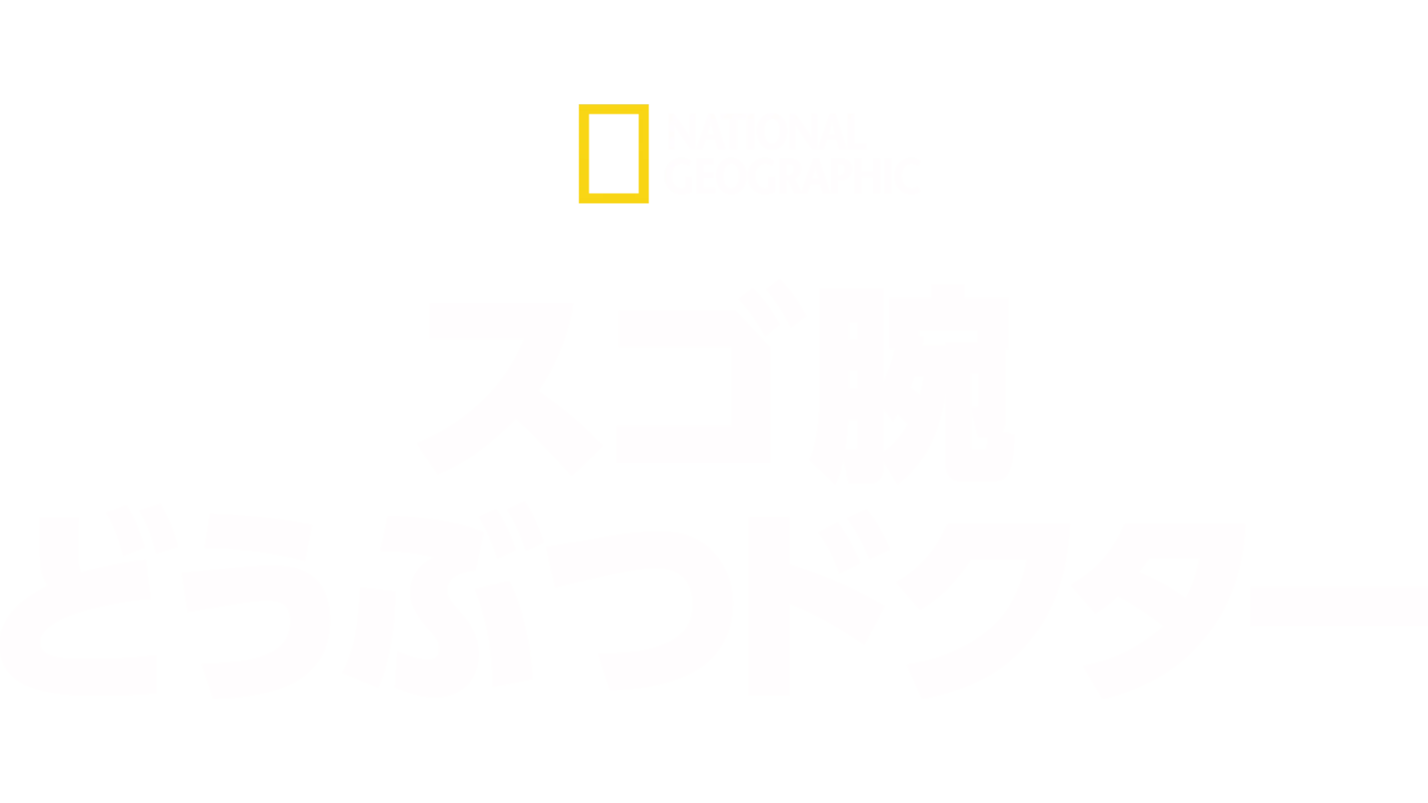 スゴ腕どうぶつドクター