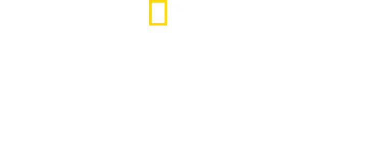 スゴ腕どうぶつドクター