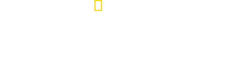 快捷生產線