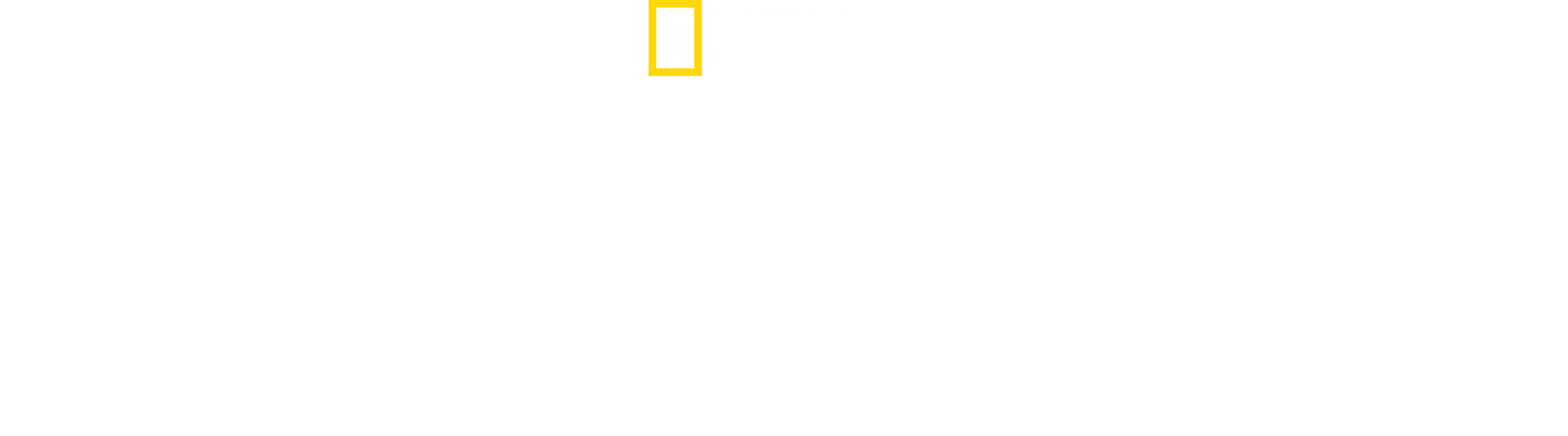 快捷生產線