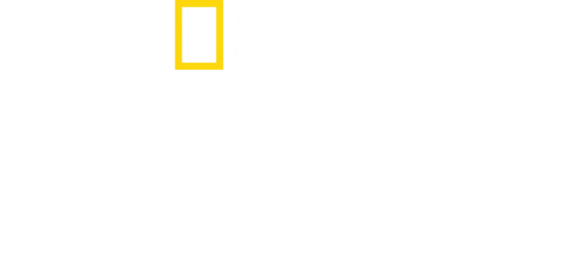 意境埃及