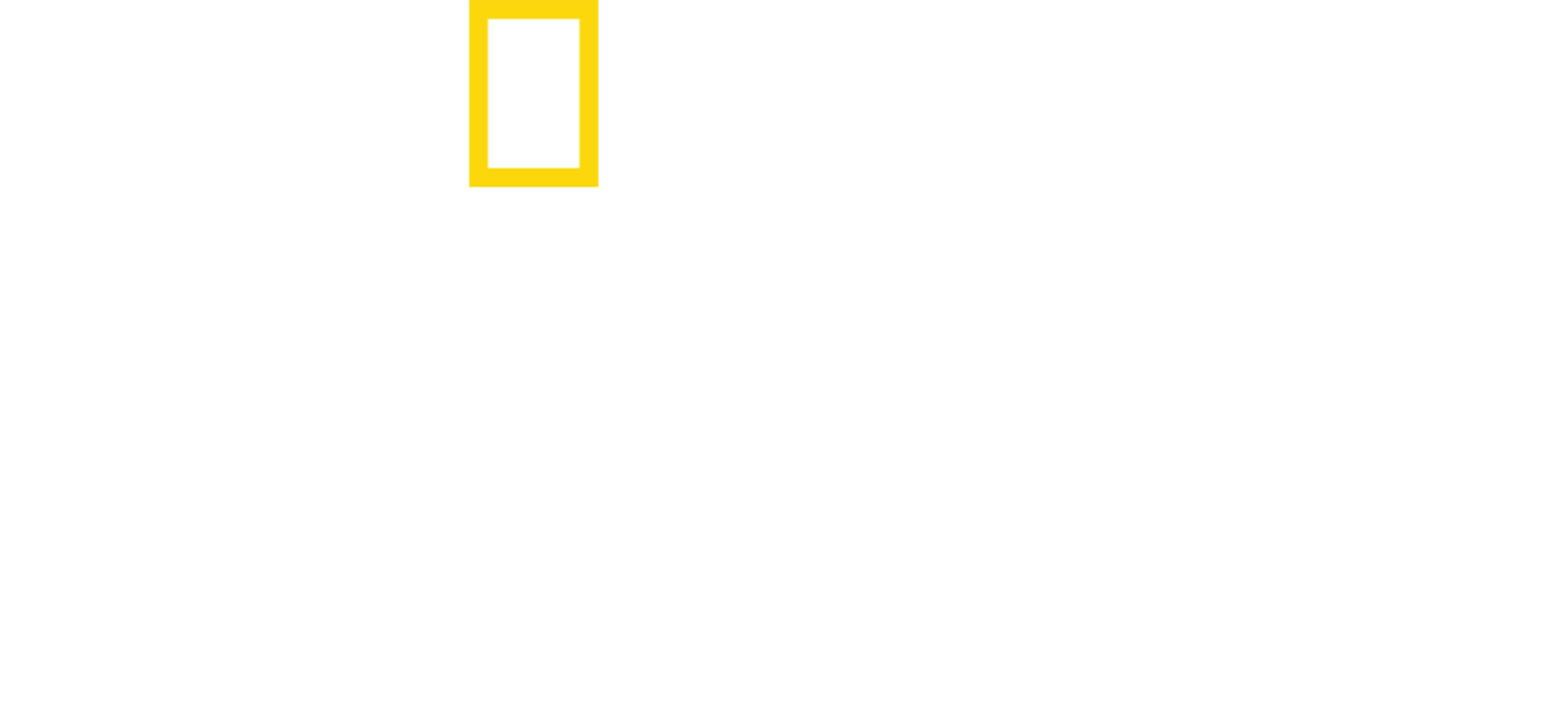 意境埃及