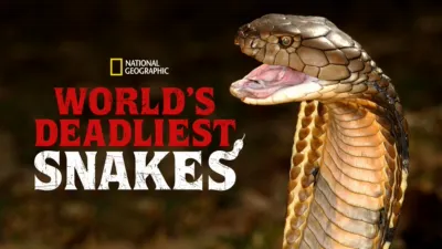 World’s Deadliest Snakes