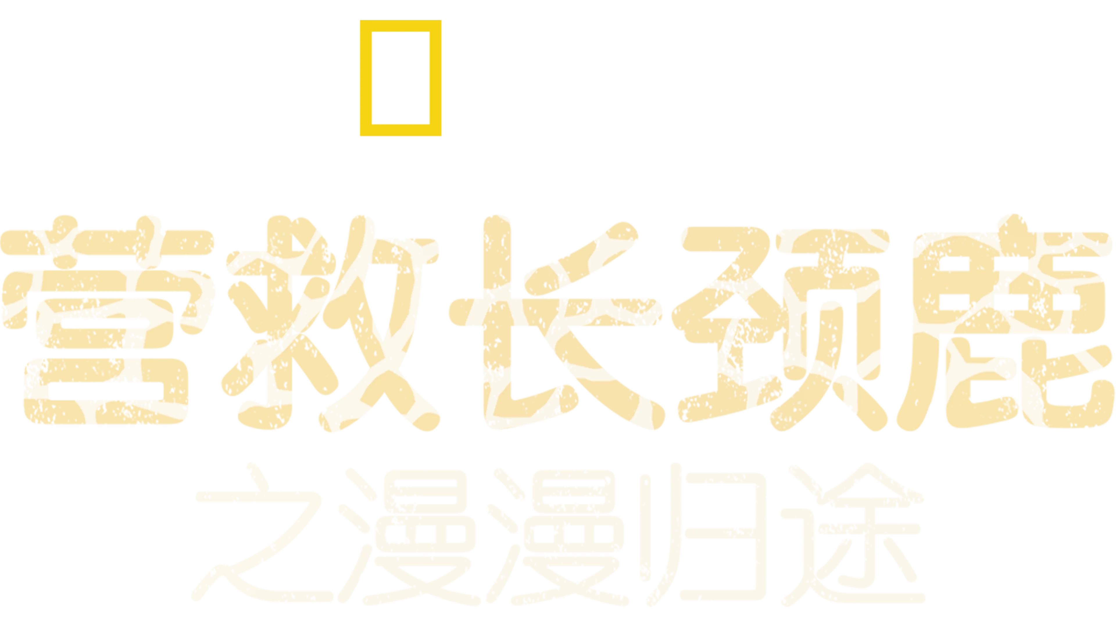 营救长颈鹿之漫漫归途