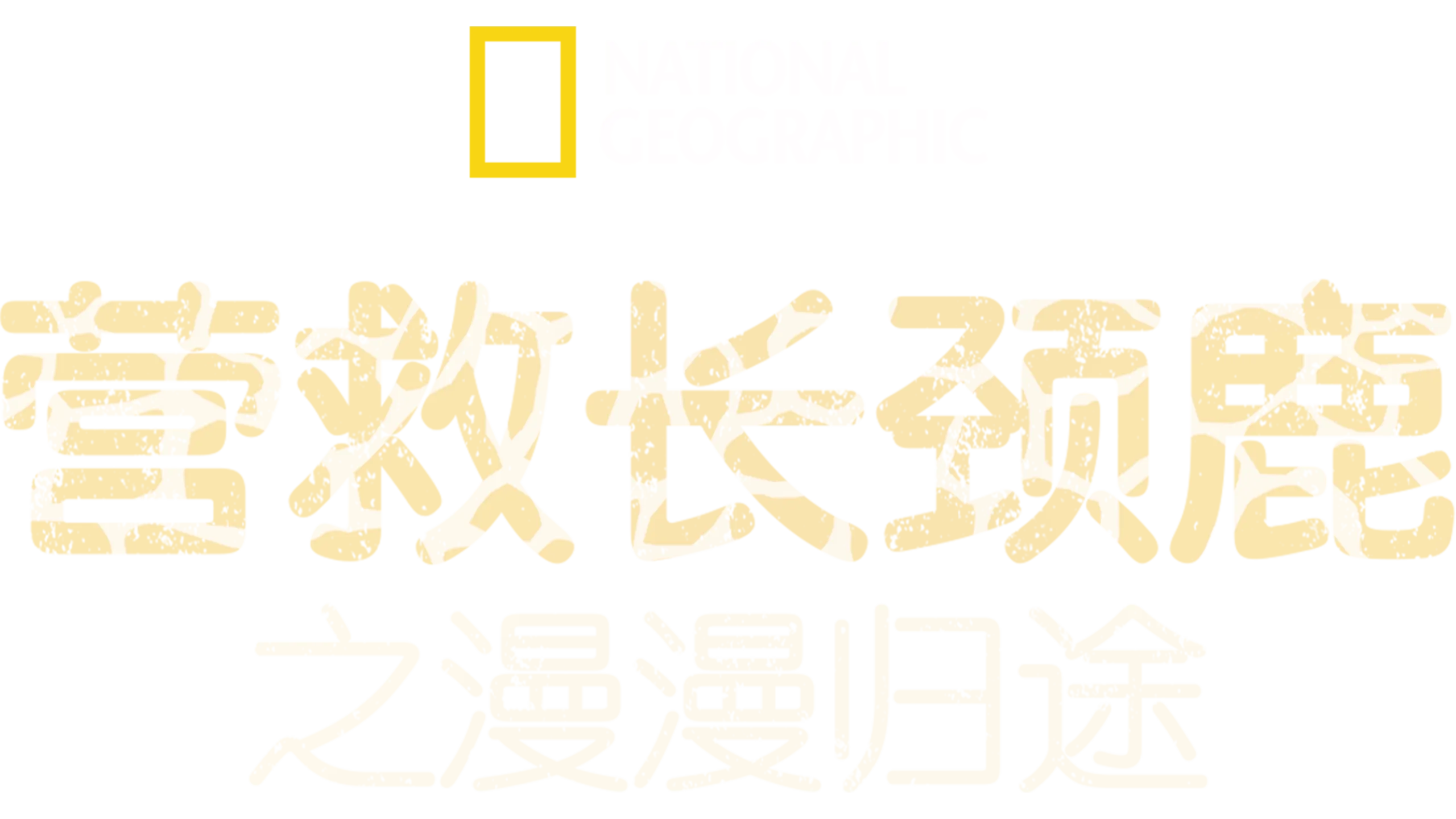 营救长颈鹿之漫漫归途