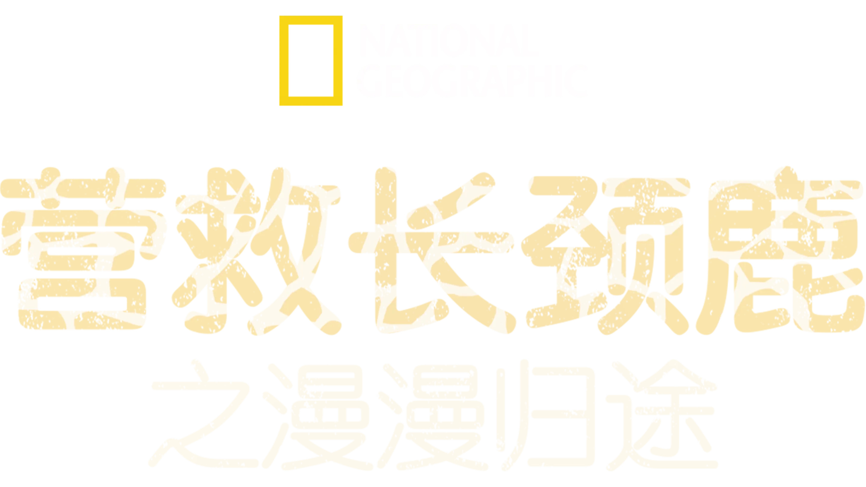 营救长颈鹿之漫漫归途