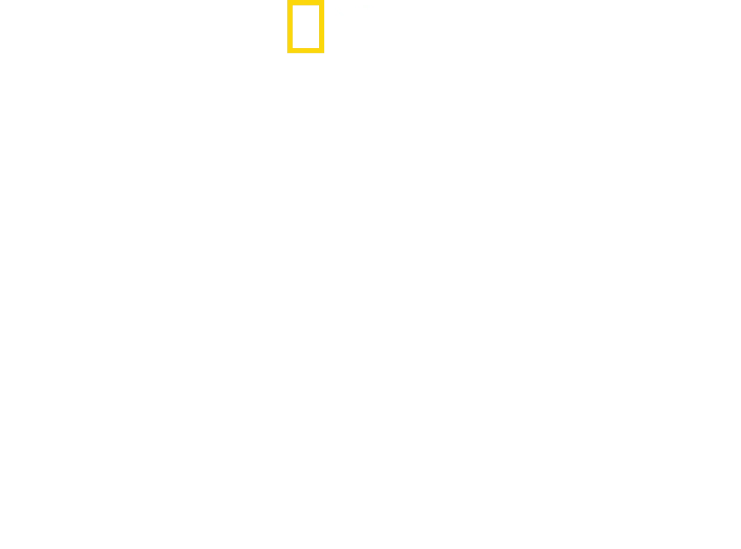 Hitler vastaan lehdistö
