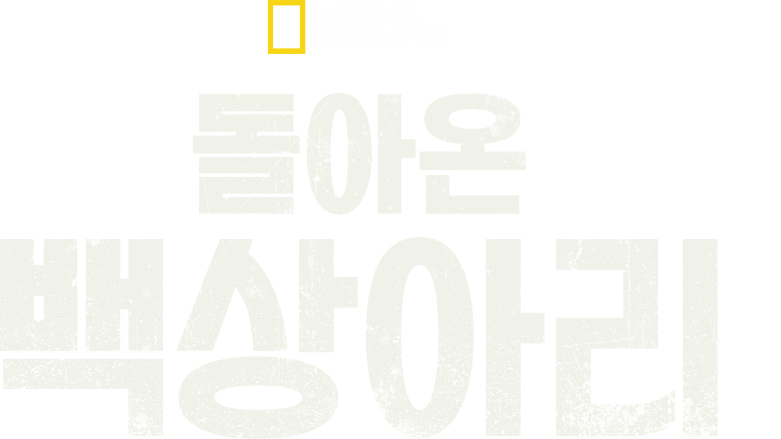 돌아온 백상아리