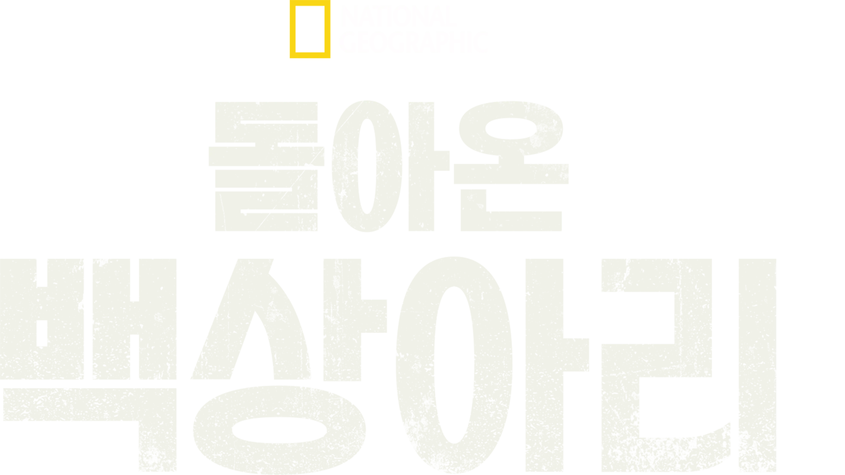 돌아온 백상아리