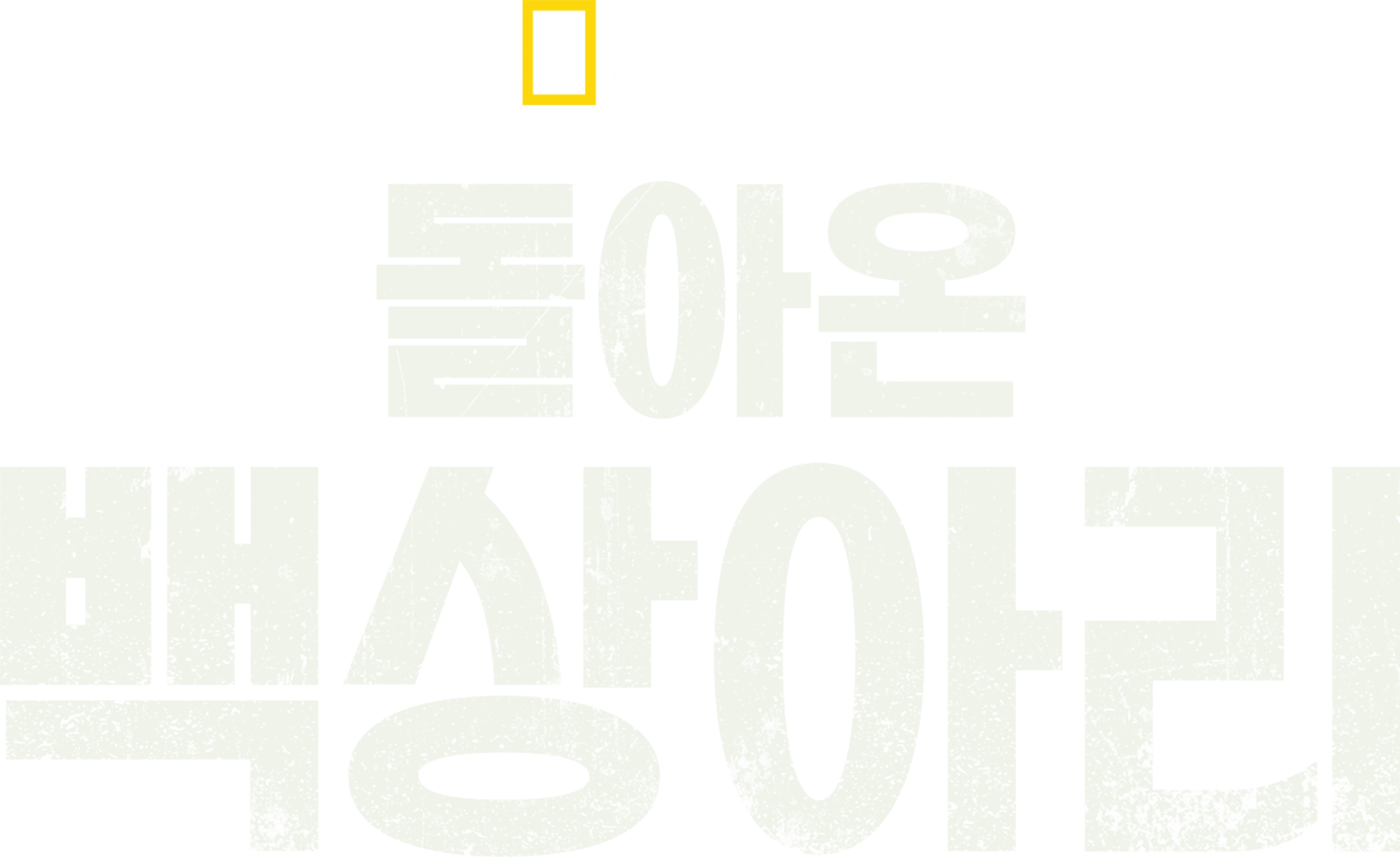 돌아온 백상아리