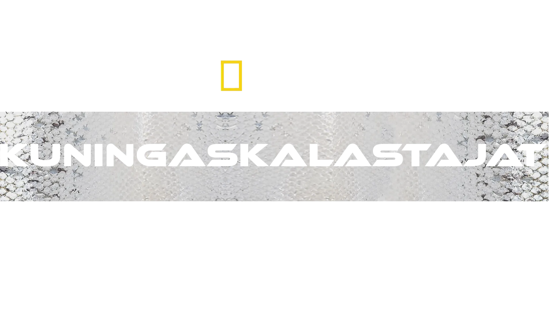 Kuningaskalastajat