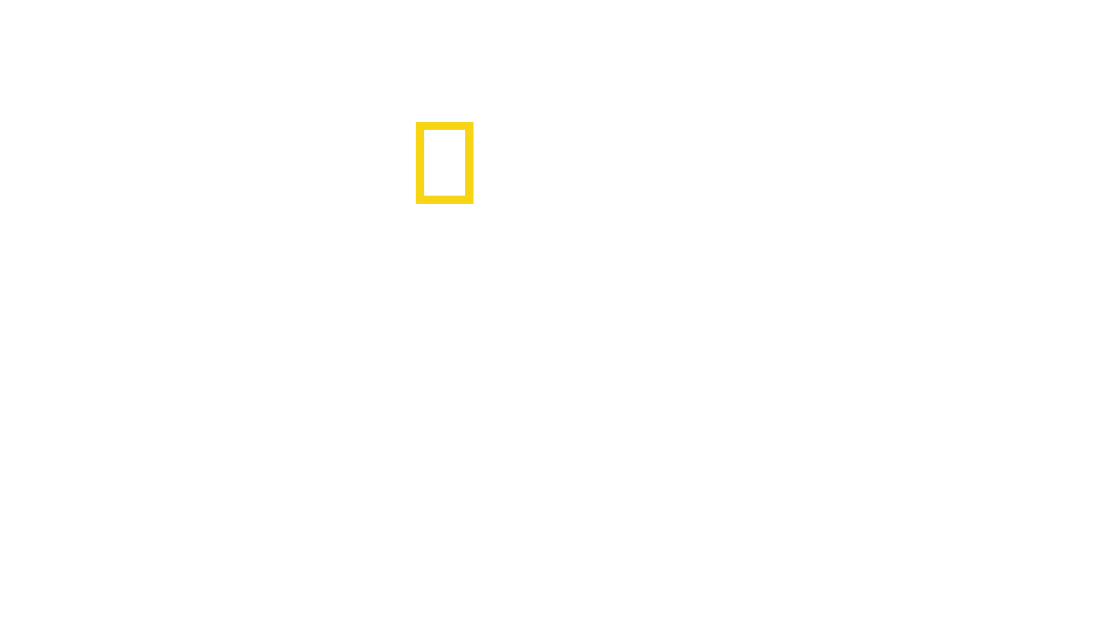 Uçak Kazası Raporu