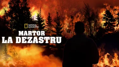Martor la dezastru
