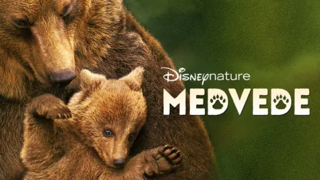 thumbnail - Medvede
