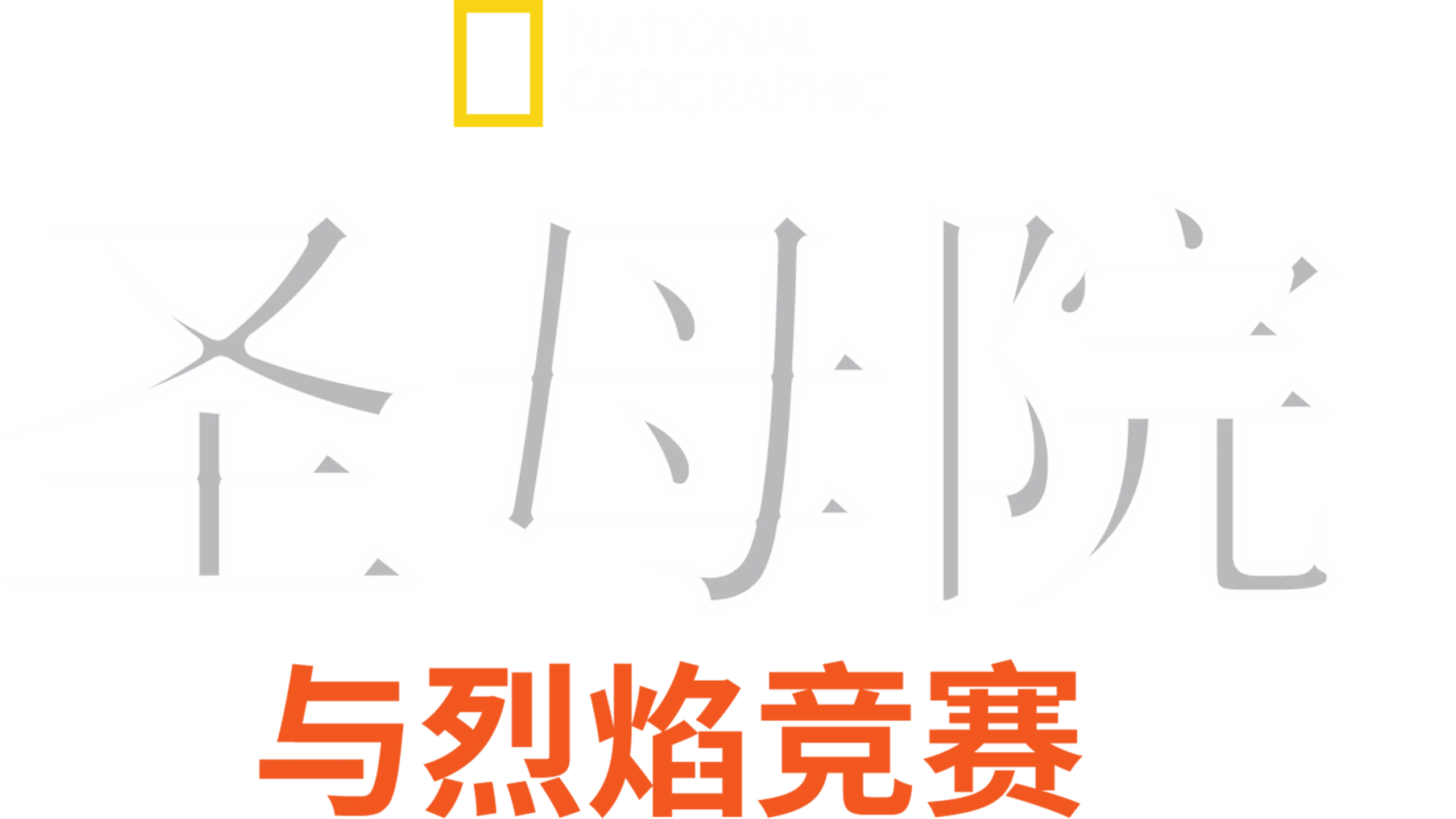 圣母院: 与烈焰竞赛