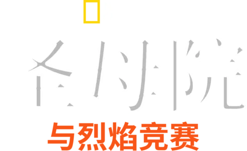 圣母院: 与烈焰竞赛