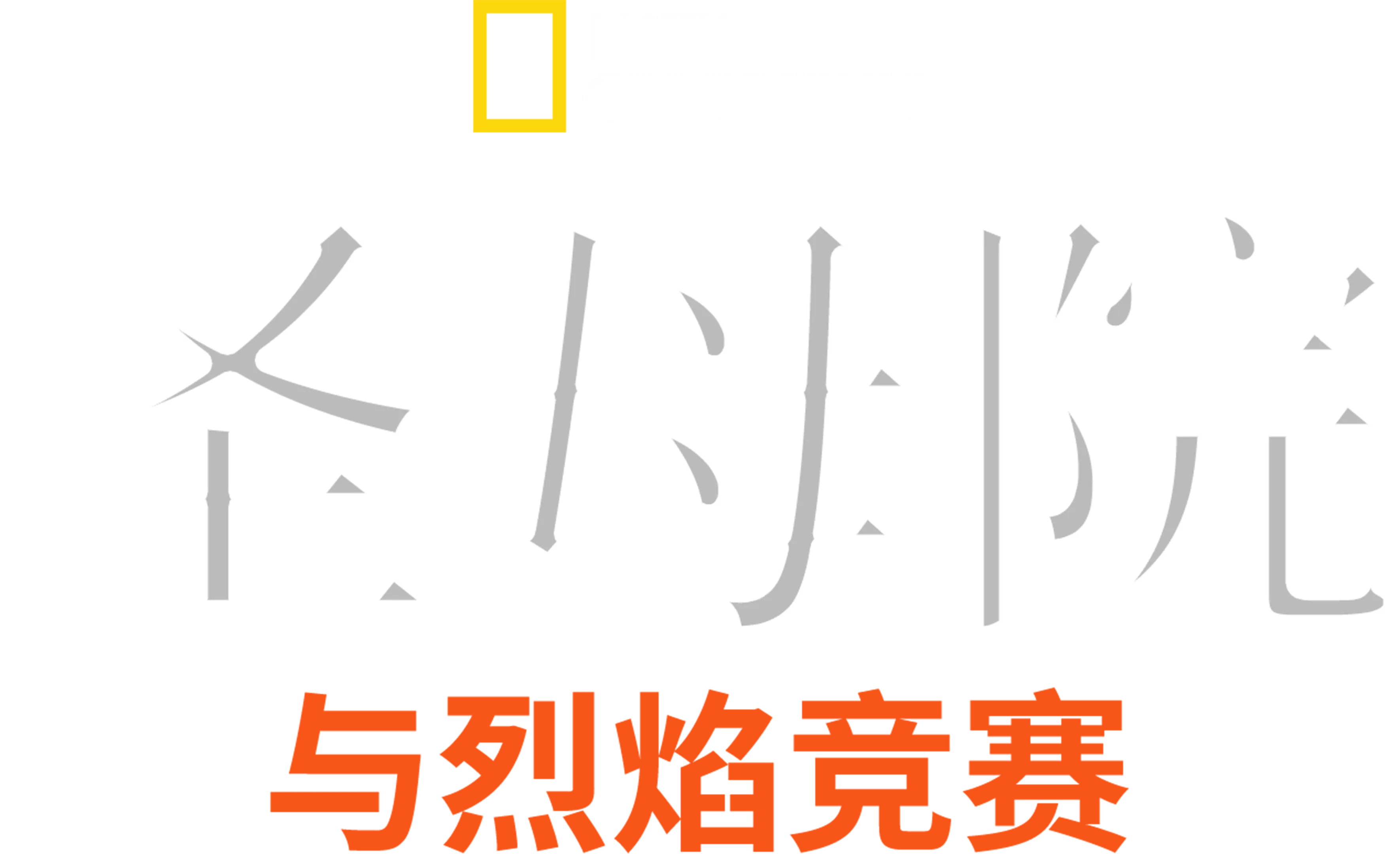 圣母院: 与烈焰竞赛