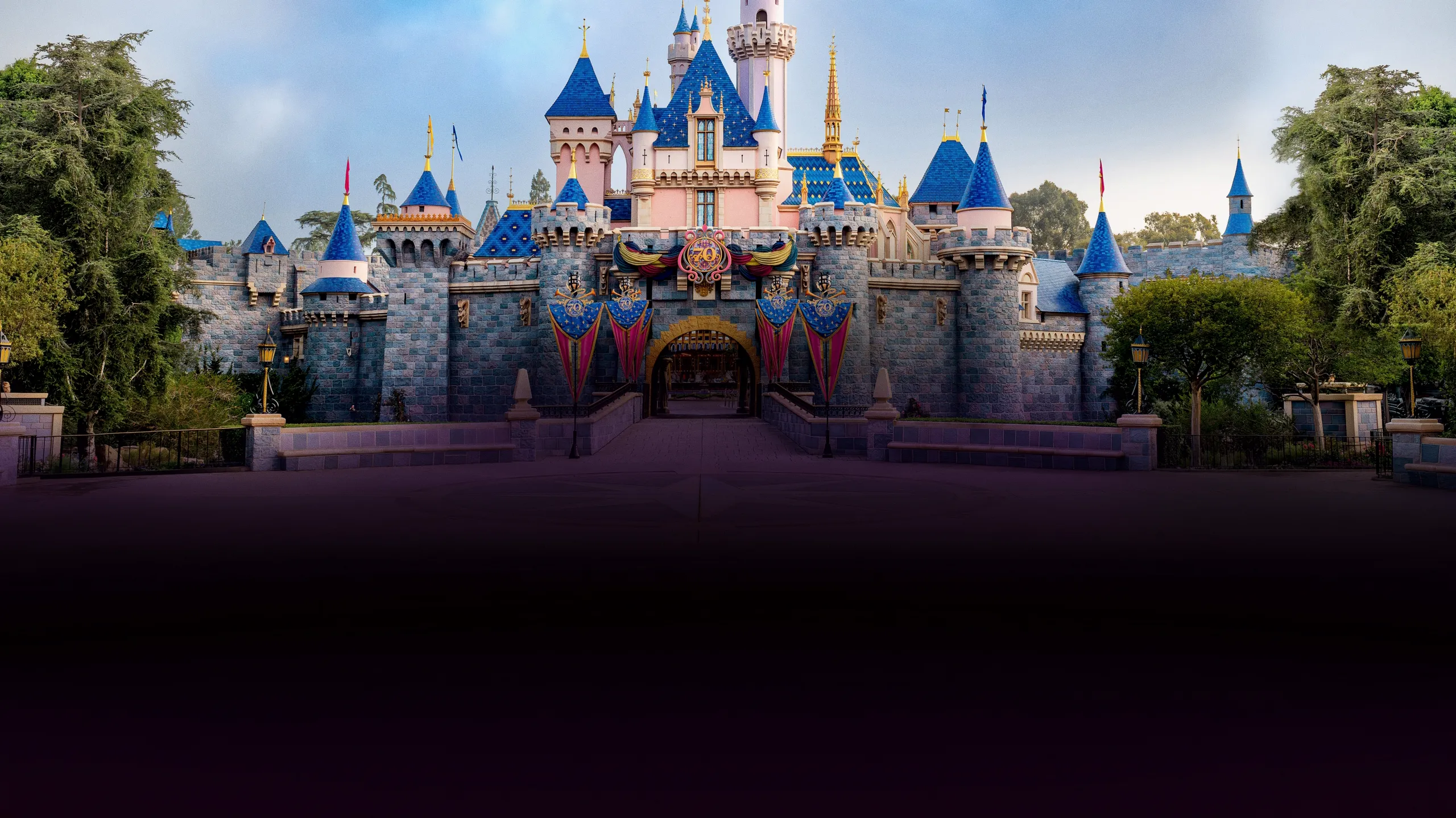 Disneyland Collection