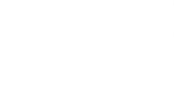 Le commandant Fort