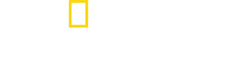 Fotoğrafçı