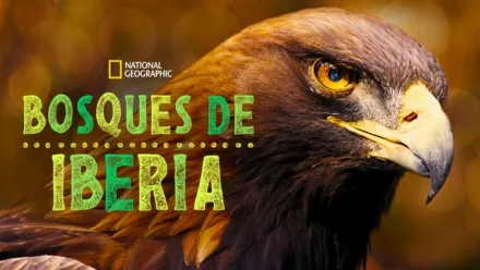 thumbnail - Bosques de Iberia