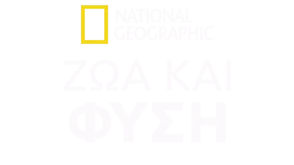 National Geographic ζώα και φύση