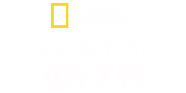 National Geographic ζώα και φύση
