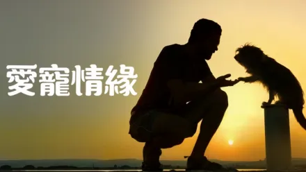 thumbnail - 愛寵情緣