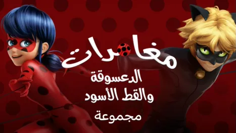 thumbnail - مغامرات الدعسوقة والقط الأسود