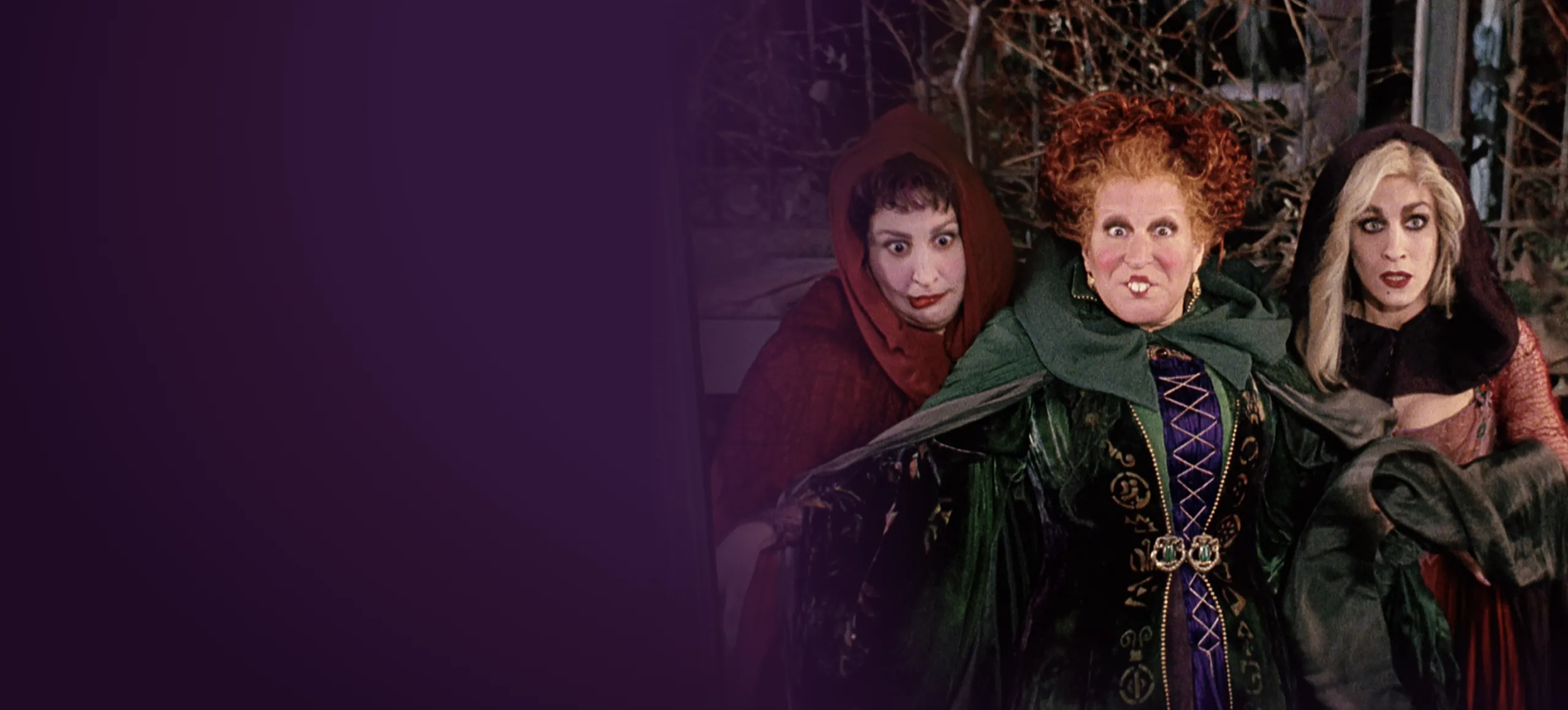 Official key art for Hocus Pocus
